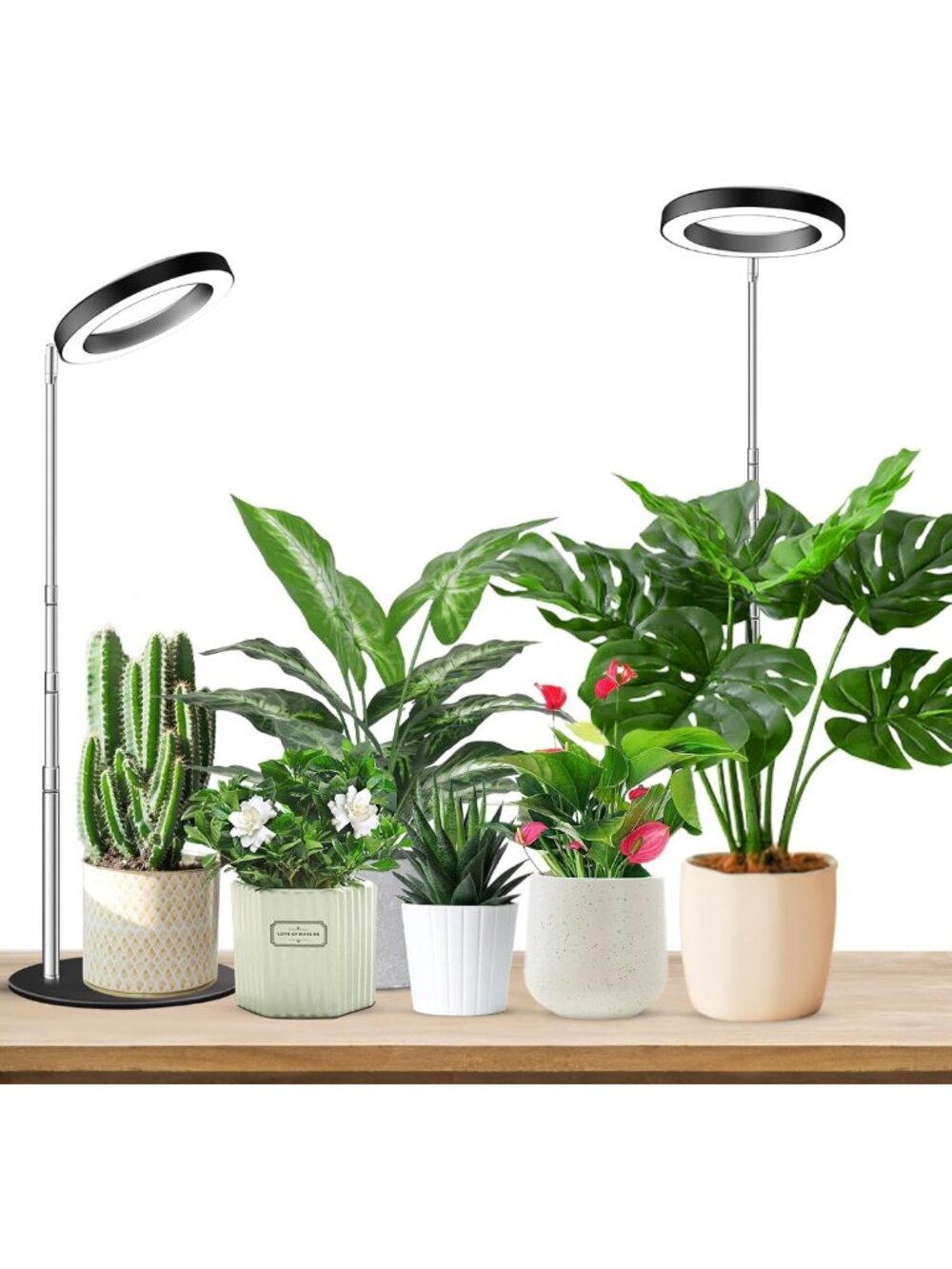 Full Spectrum Grow Light for Indoor Plants, 80 LEDs, Adjustable Height, Auto
